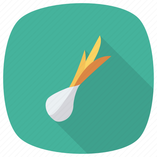 Cook, cooking, food, garlic, kitchen, onion, vegetable icon - Download on Iconfinder