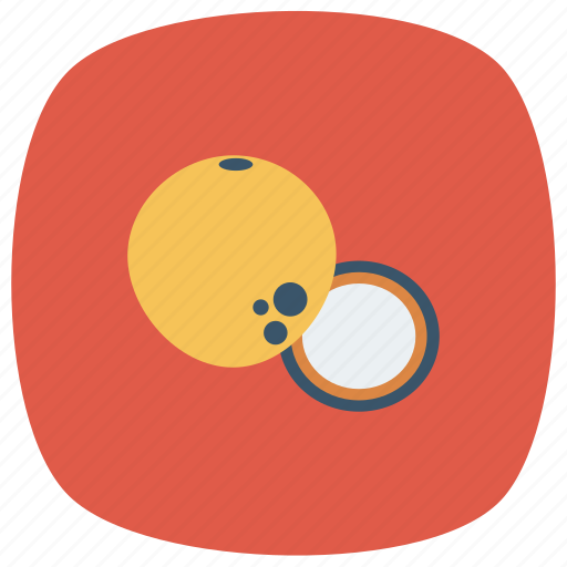 Chairs, coconut, coconutslice, cooking, drink, food, fruit icon - Download on Iconfinder