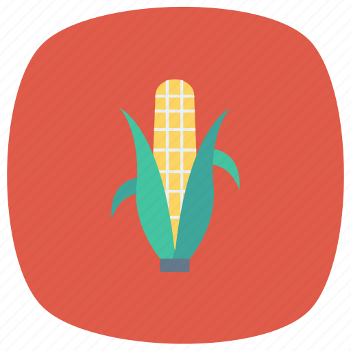 Cooking, corn, eating, food, grain, popcorn, vegetable icon - Download on Iconfinder