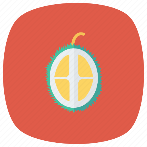 Diet, food, fruit, healthy, lychee, nature, sweet icon - Download on Iconfinder