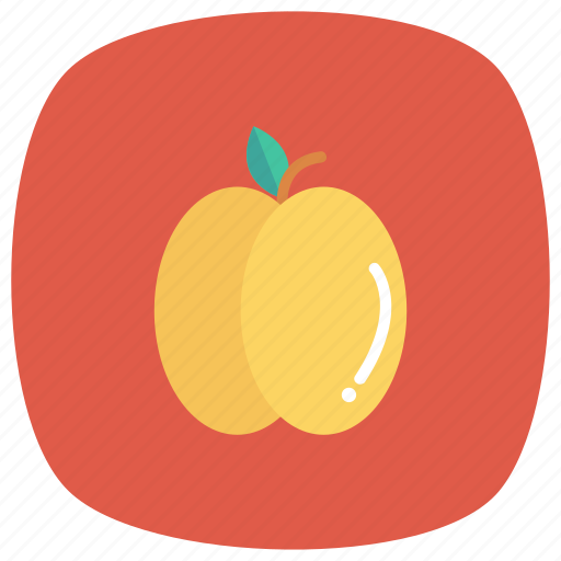 Cooking, food, fresh, freshfruit, fruit, healthy, peach icon - Download on Iconfinder
