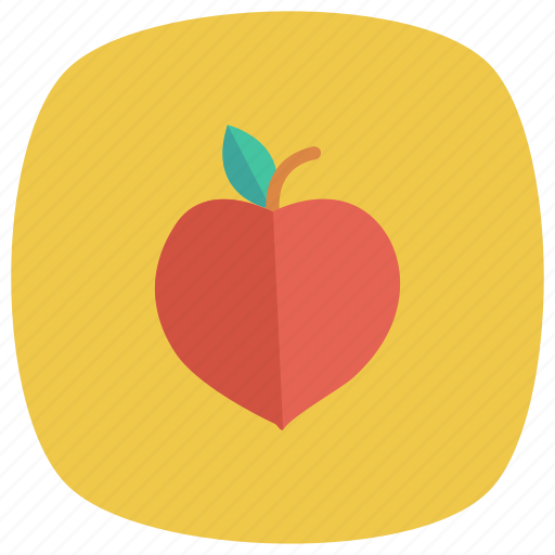 Apricot, food, freshfruit, fruit, fruits, healthy, peach icon - Download on Iconfinder