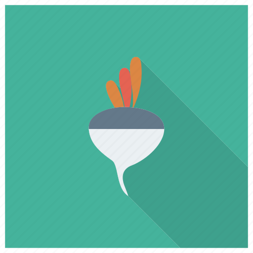 Beet, beets, food, fresh, meal, radish, vegetable icon - Download on Iconfinder
