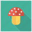 champignon, coocking, food, mushroom, mushrooms, plant, vegetable 