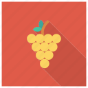 berry, bunch, food, fruit, fruits, grape, grapes