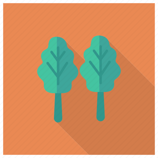Food, healthy, iron, leaf, plant, spinach, vegetable icon - Download on Iconfinder