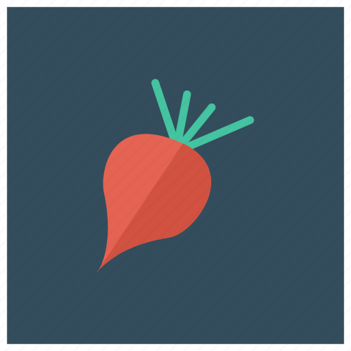 Beets, cooking, food, ingredients, meal, radish, vegetable icon - Download on Iconfinder