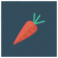 carrot, cooking, food, freshcarrot, healthy, rabbit, vegetable 