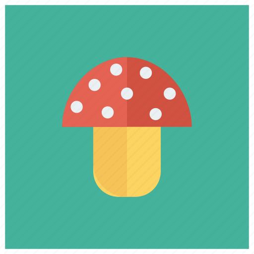Champignon, coocking, food, mushroom, mushrooms, plant, vegetable icon - Download on Iconfinder