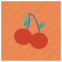 berry, cherries, cherry, food, fruit, fruits, spring