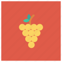 berry, bunch, food, fruit, fruits, grape, grapes 