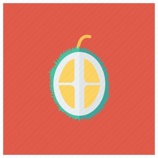 Diet, food, fruit, healthy, lychee, nature, sweet icon - Download on Iconfinder