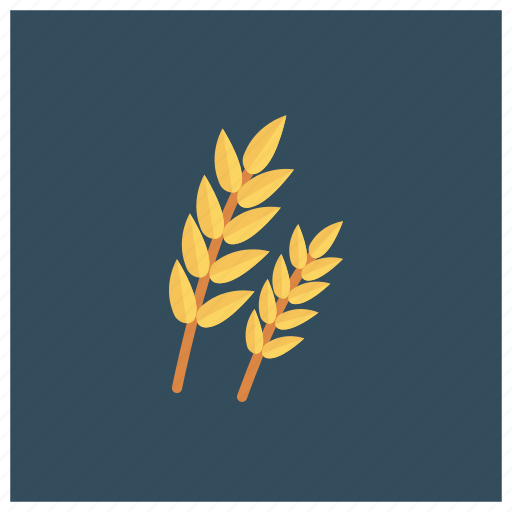 Breakfast, flour, food, grain, healthy, nature, wheat icon - Download on Iconfinder