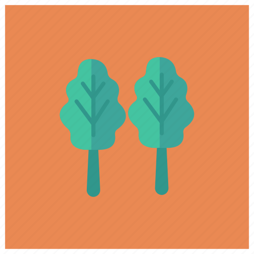 Food, healthy, iron, leaf, plant, spinach, vegetable icon - Download on Iconfinder