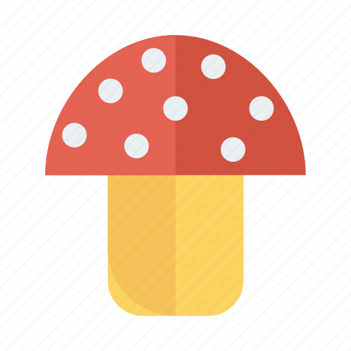 Champignon, coocking, food, mushroom, mushrooms, plant, vegetable icon - Download on Iconfinder