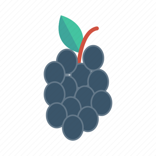 Berry, bunch, food, fruit, grape, healthy, wine icon - Download on Iconfinder