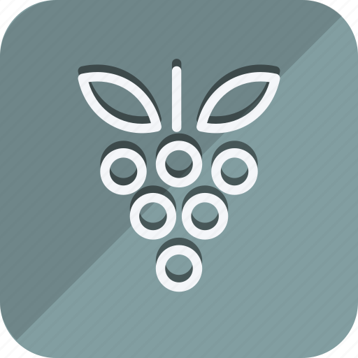 Appliance, cooking, food, gastronomy, kitchen, utensils, graps icon - Download on Iconfinder