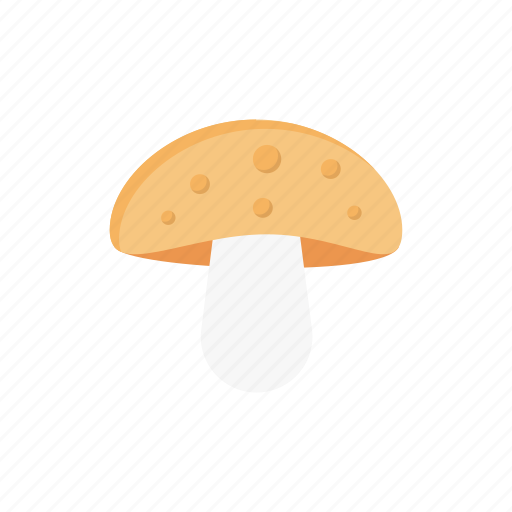 Mushroom, champignon, food, amanita, ingredient icon - Download on Iconfinder