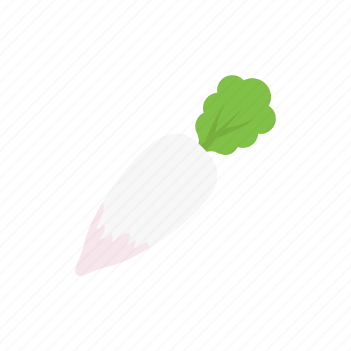 Vegetable, food, ingredients, radish, salad icon - Download on Iconfinder