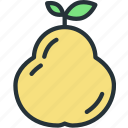 food, pear