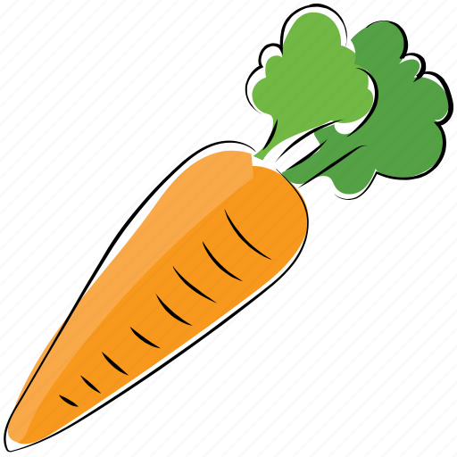 Carrot, diet, healthy diet, nutrition, vegetable icon - Download on Iconfinder