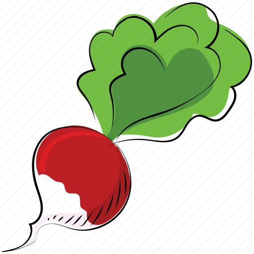 Beetroot, beets, garden beet, healthy diet, red beet, table beet icon - Download on Iconfinder