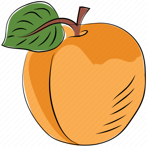 Diet, fruit, health diet, orange, organic, peach, prunus persica icon - Download on Iconfinder