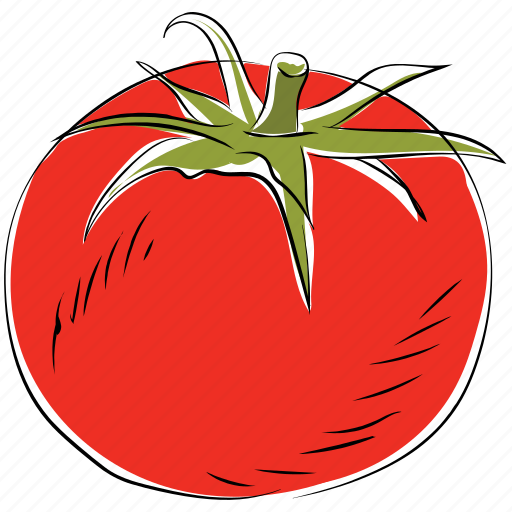 Fruit, healthy food, nutrition, organic, tomato icon - Download on Iconfinder