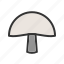 mushroom, mushrooms, fungi, fungus 