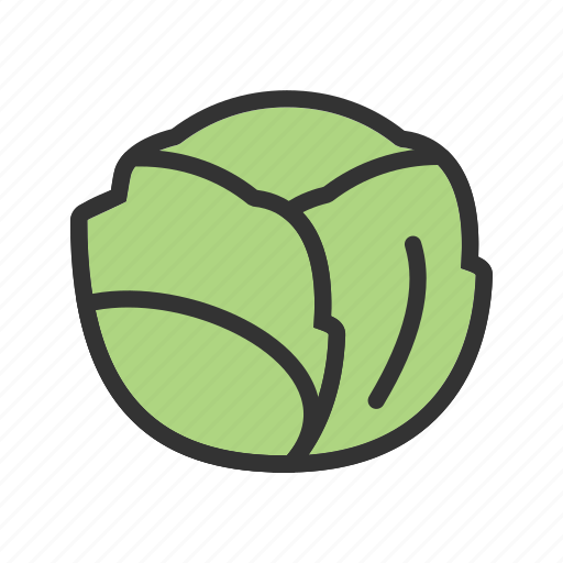 Cabbage, food, vegetable, fruit icon - Download on Iconfinder