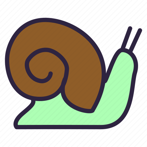 Clam, food, mollusk, shellfish, snail, cooking, healthy icon - Download on Iconfinder
