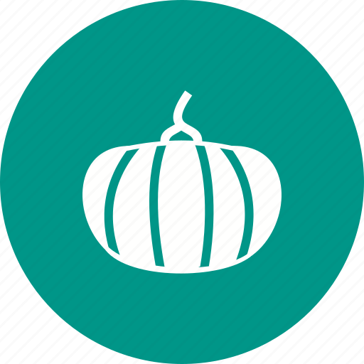Color, food, halloween, oil, pumpkin, pumpkins, vegetable icon - Download on Iconfinder