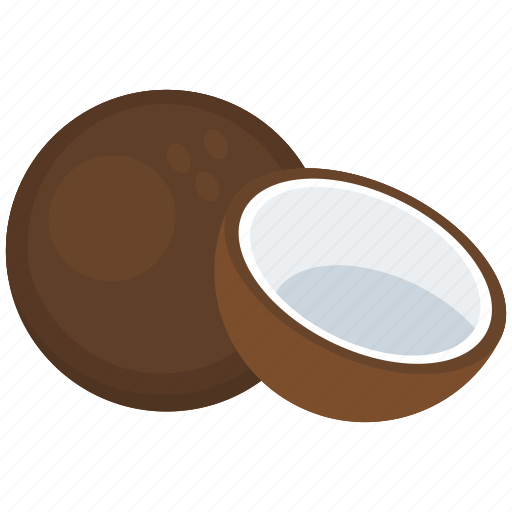 Coconut, copra, food, fruit, nut, tropical food icon - Download on Iconfinder