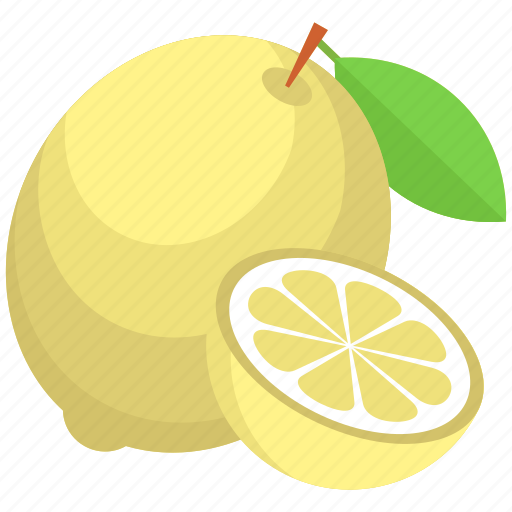 Citrus fruit, food, fruit, lemon, lemon slice icon - Download on Iconfinder
