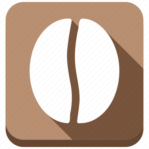 Cafe, chocolate, cocoa, coffee bean, delicious, grain, seed icon - Download on Iconfinder