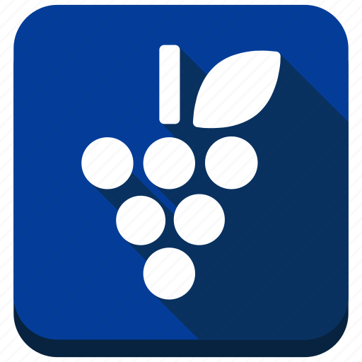 Berry, grapes, vegetarian, fruit, grape, nature, wine icon - Download on Iconfinder