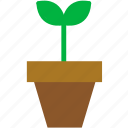 green, nature, plant, pot, potted plant, small plant, sprout