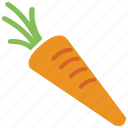 carrot, food, vegetable, food and vegetable, healthy
