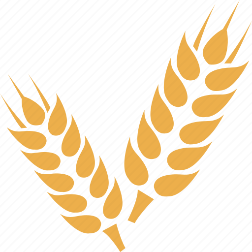 Crop, grain, wheat, wheat crop, wheat grain icon - Download on Iconfinder