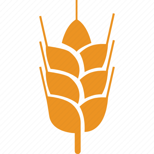 Cereal grain, grain, wheat, food icon - Download on Iconfinder