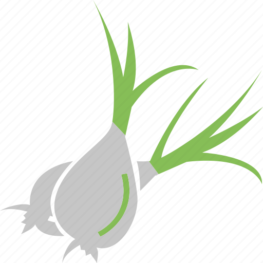 Food ingredient, green onion, onion, vegetable, food icon - Download on Iconfinder