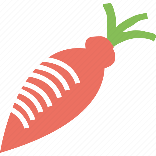 Carrot, food, vegetable, eating, healthy, kitchen icon - Download on Iconfinder