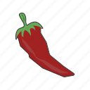 chili, pepper