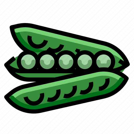 Bean, naturalpeasstring, seed icon - Download on Iconfinder