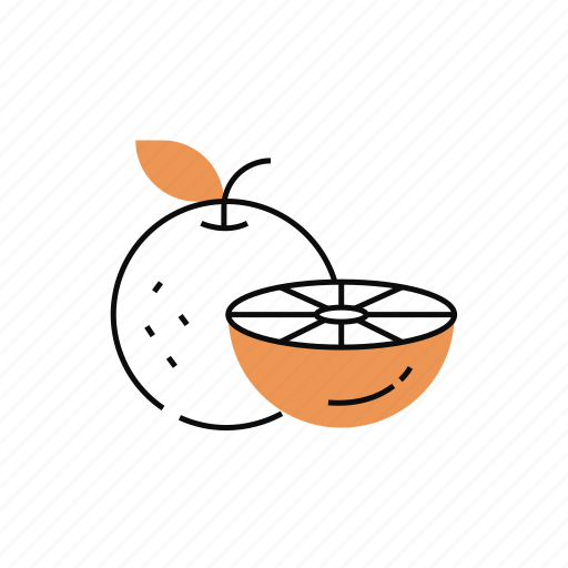 Orange, fruit, diet, juice, fresh, healthy icon - Download on Iconfinder