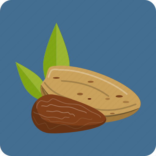 Almond, macadamia, nuts, organic, peanut, vegetarian, whole icon - Download on Iconfinder