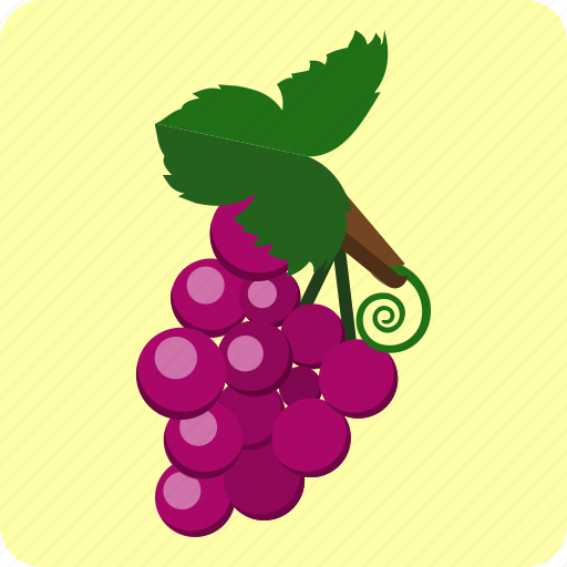 Food, fresh, fruit, grape, juice, natural icon - Download on Iconfinder