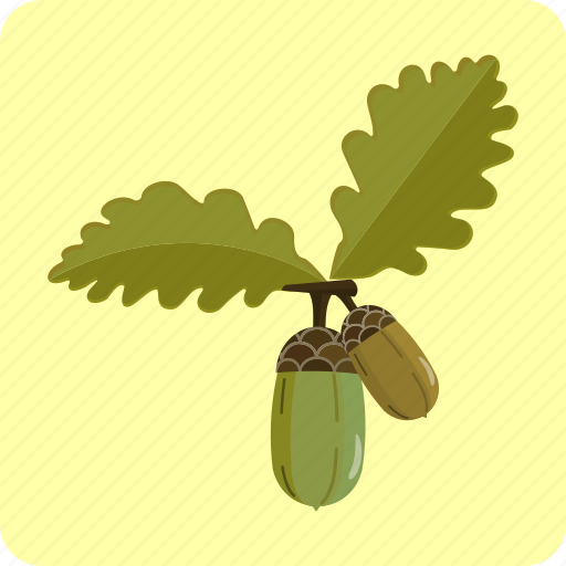 Acorn, autumn, forest, leaf, oak, origins, seed icon - Download on Iconfinder