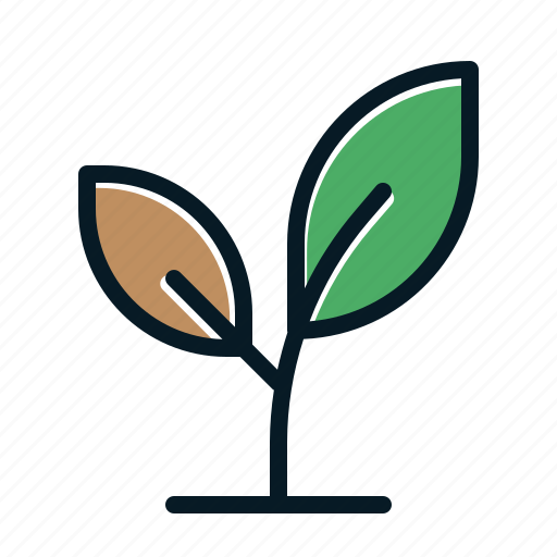 Seed, green, leaf, nature, plant, forestry, eco icon - Download on Iconfinder