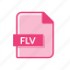 animation, extension, flash, flv, format 